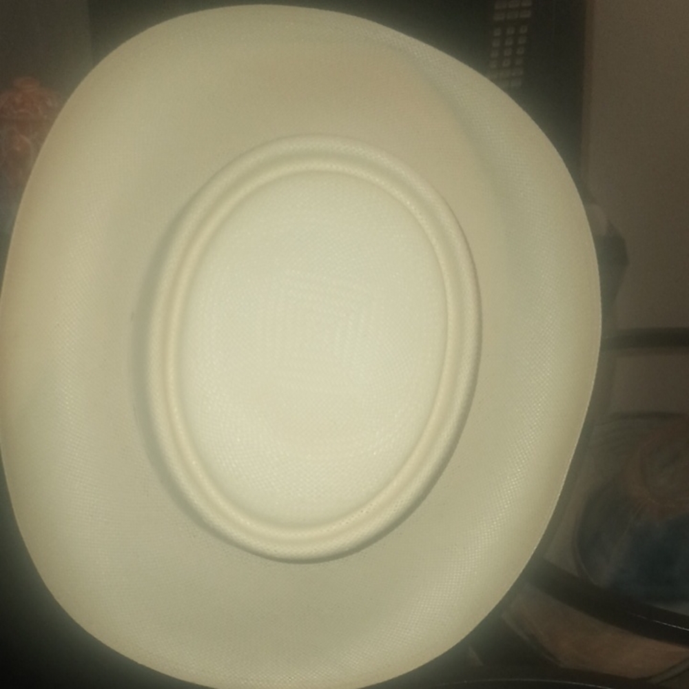 Elegant Cream Dinner Plate
